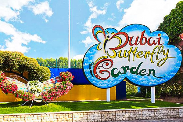 Dubai Butterfly Garden Tickets
